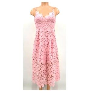 ASTR The Label Pink Lace A-Line Midi Dress self portrait cutout shower